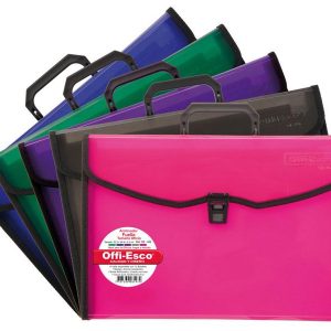 Archivador 13 Bolsillos Oficio